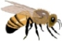 Benutzeravatar