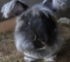 Benutzeravatar