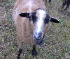 Benutzeravatar